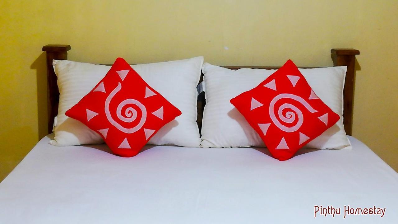 Pinthu Home Stay シギリヤ エクステリア 写真