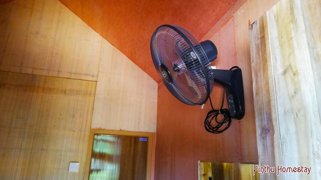 Pinthu Home Stay シギリヤ エクステリア 写真